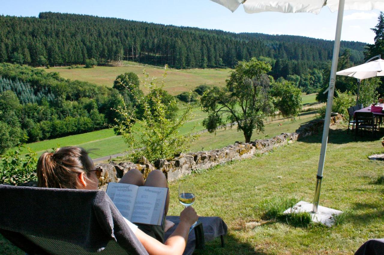 콥 Eifel Rebeige Gerolstein 아파트 외부 사진